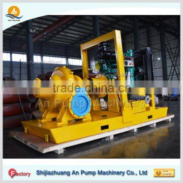 Powerful Big Capacity Split Case Pump Water of Diesel Water Pump photo-2