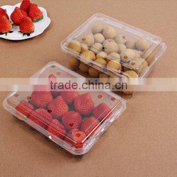 Disposable Fruit Plastic Packaging Container for Blueberry photo-2