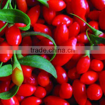 BEST Wolfberry Color Sorting Machine With High Quality In China photo-2