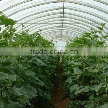 High Quality Tunnel Greenhouse About Vegetable Farming Equipment photo-6