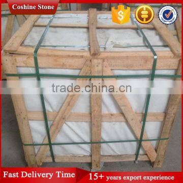 Lower Price Sidewalk Paver Stones for Patio photo-5