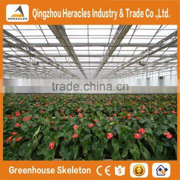 Heracles Versatile Multi Span Poly Film Greenhouse for Hydroponic Growing Systems of NFT and Soilless Systems photo-3