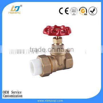 China cast steel gate valve with brass body