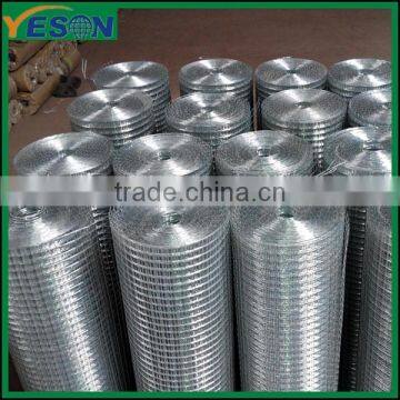 galvanized wire mesh/welded mesh fence panel