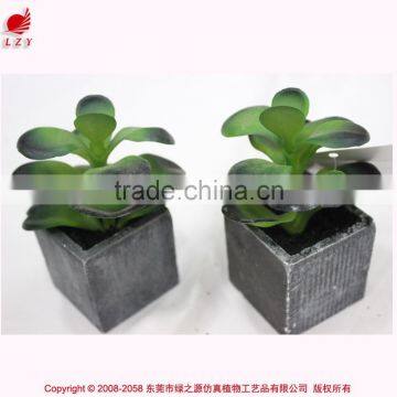 Hot Sell Cheap Wholesale Fake Mini Bonsai Potted,articial Bonsai Outdoor Decoration photo-2