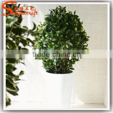 Large Outdoor Bonsai Trees Banyan Wholesale Bonsai Trees Ficus Microcarpa Bonsai Trees photo-4