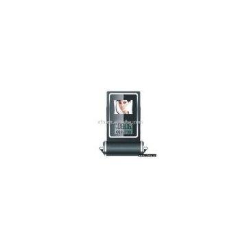 Digital Photo Frames