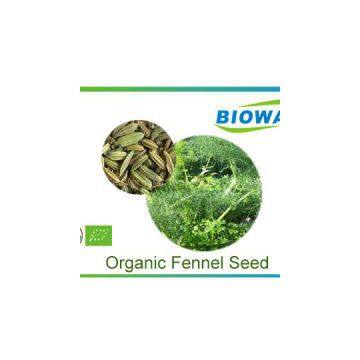 Organic Fennel Seed