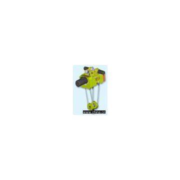 Electric Wire Rope Hoists