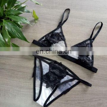 Girls Sexy transparent lace grenadine bikini Hot Sexy fancy Ladies Stylish Bra And Panty Set