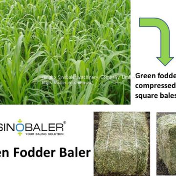 Green Fodder Baler, Green Fodder Compactor