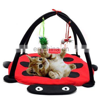 low price funny pet toy canvas cat climbing beetle shape tent toy for pet cat