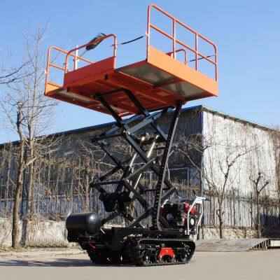 garden tracked aerial platform