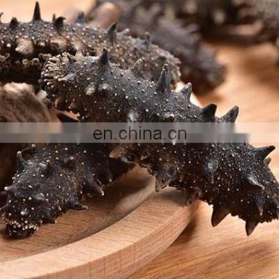 Sea Cucumber from Vietnam is good price and quality