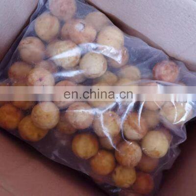 OEM Bulk Packing Frozen Roasted Octopus Ball photo-4