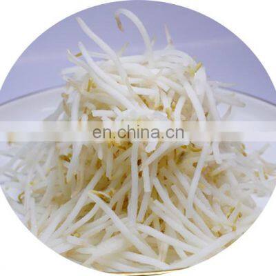Sinocharm 2022 New Season Fresh Organic IQF Frozen Green Mung Bean Sprout