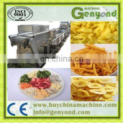 Ginger Dryer/ginger Drying Dehydrator/ginger Processing Plant Machine photo-3