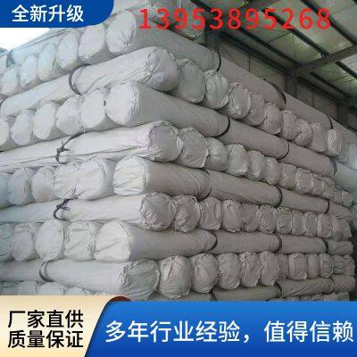 Geosynthetic Material Clay Liner 6000g Natural Nano Coated Bentonite Waterproof Blanket photo-2