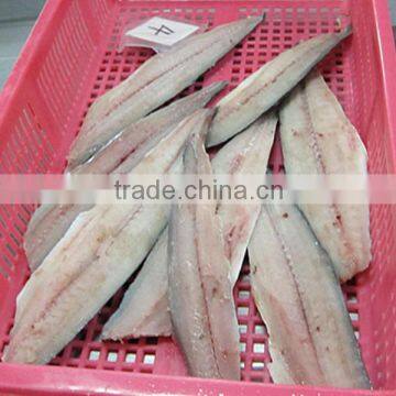 Frozen spanish mackerel seafood