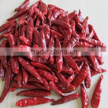 Spice Chinese Dry Hot Red ChaoTian Chili tianying chili Stemless