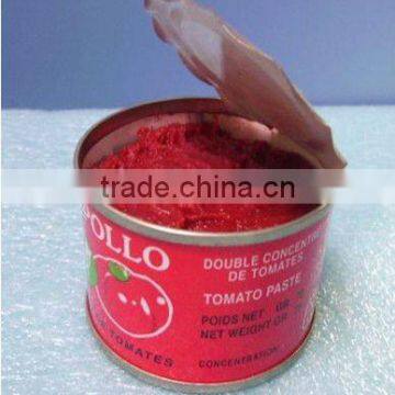 canned tomato ketchup factory supply OEM canned tomato puree with high quality and low price