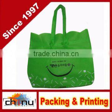 Promotion Shopping Packing Non Woven Bag (920015)