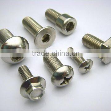 Stainless Steel Bolt