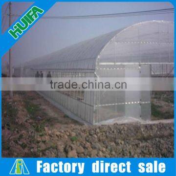 Professional solar high tunnel hot galvanized steel green houses for agriculture