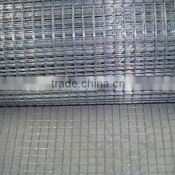 Galvanized Welded Wire Mesh