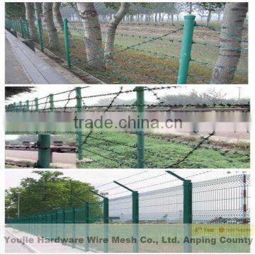 barbed wire mesh (20 years factory)