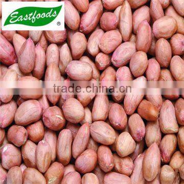 New Crop Peanut Kernel photo-3