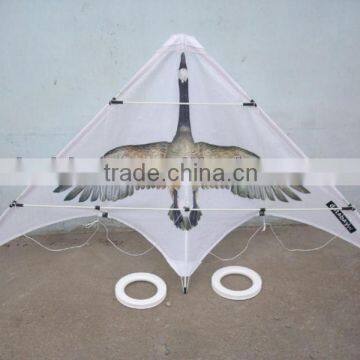 Delta Stunt Kite Promotional kite Sport kite making by Kite Factory