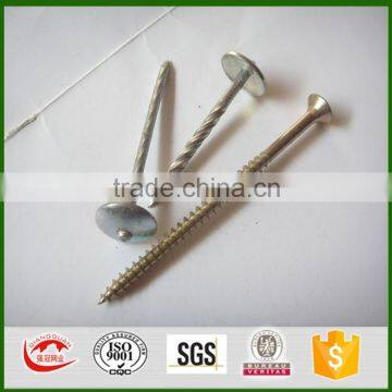 umbrella head roofing nails from Qiangguan in china