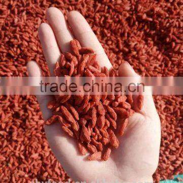 Chinese Dried Organic Goji Berry