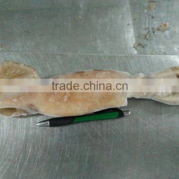 Illex Squid W/R photo-6