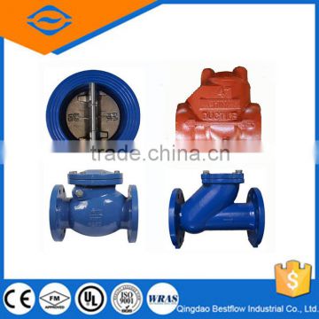 20% discounted Ductile Iron Oilfield Check Valve Npt/Swing check valve with good quality