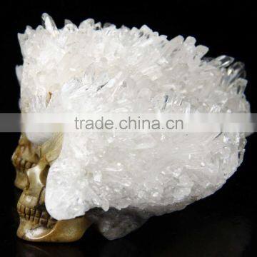 Western New Design Crystal Skull Model for Sale photo-2