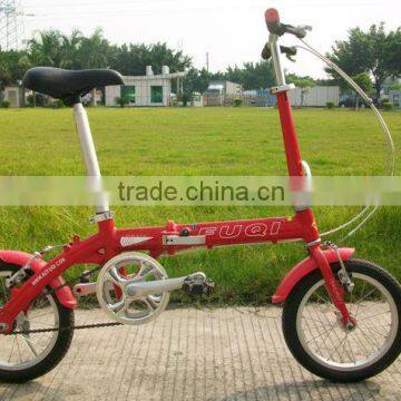 Folding Bike with Alloy