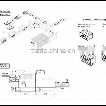 Auto Case Packer for Snack Food, Pick and Place Bag in Box Machine. photo-2
