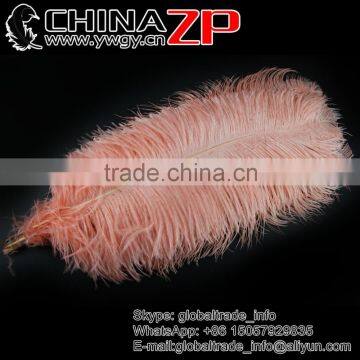 CHINAZP No.1 Supplier in China Factory Exporting Wholesale from 10inch to 12inch Champagne Ostrich Feathers