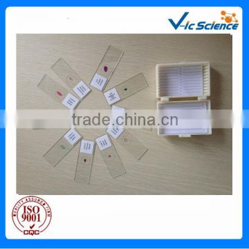 Plastic microscope slides boxes