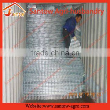 Automatic Chicken Egg Layer Cages Poultry Battery Cage System for Nigeria Farm photo-6