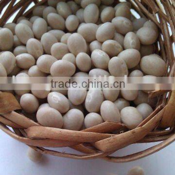 Organic Navy White Kidney Bean( 2010 crop , heilongjiang origin, hps)