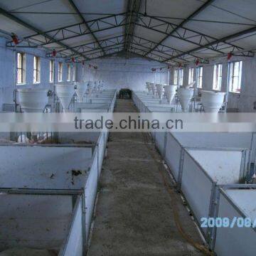 Pig quipment,automatic pig feeding system