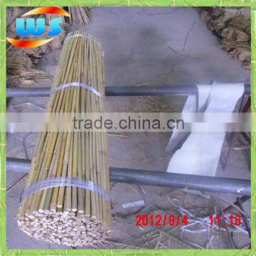 4ft 14-16mm Bamboo cane support plant growing