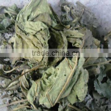 Mulberry Leaf Natural Herbal Tea photo-3