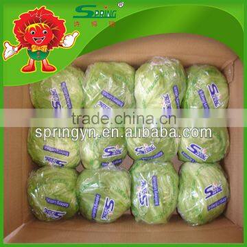 Organic Fresh Vegetables Lettuce photo-2