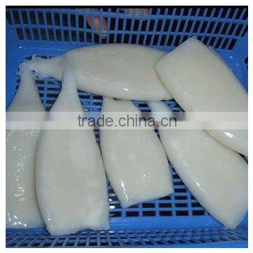 Frozen Squid Fillet photo-2