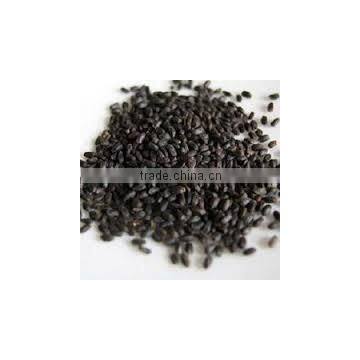 Bottled Basil Seed Drink photo-5