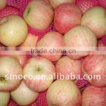 Red Gala Apple